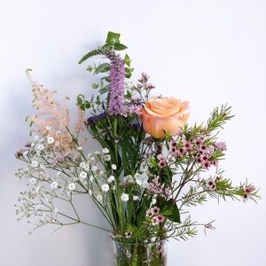 Meet your Posher, Phan